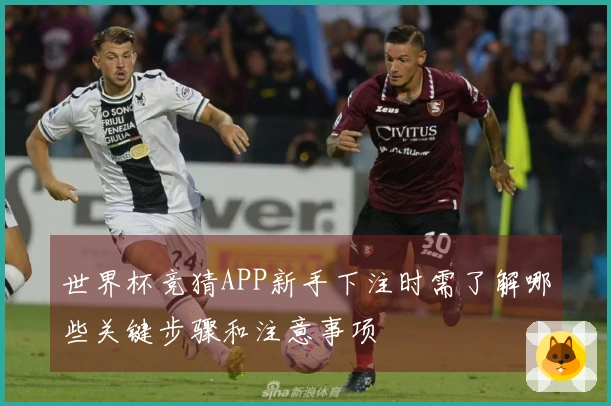 世界杯竞猜APP新手下注时需了解哪些关键步骤和注意事项