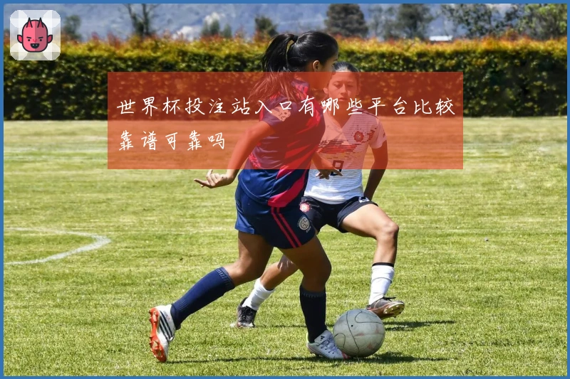 世界杯投注站入口有哪些平台比较靠谱可靠吗